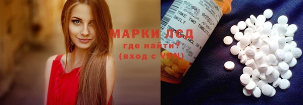 ECSTASY Покачи